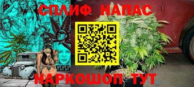 каннабис Кингисепп