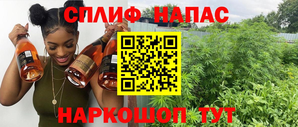 Каннабис AK-47 Кохма